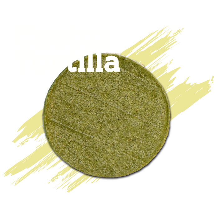 cactus_tortilla